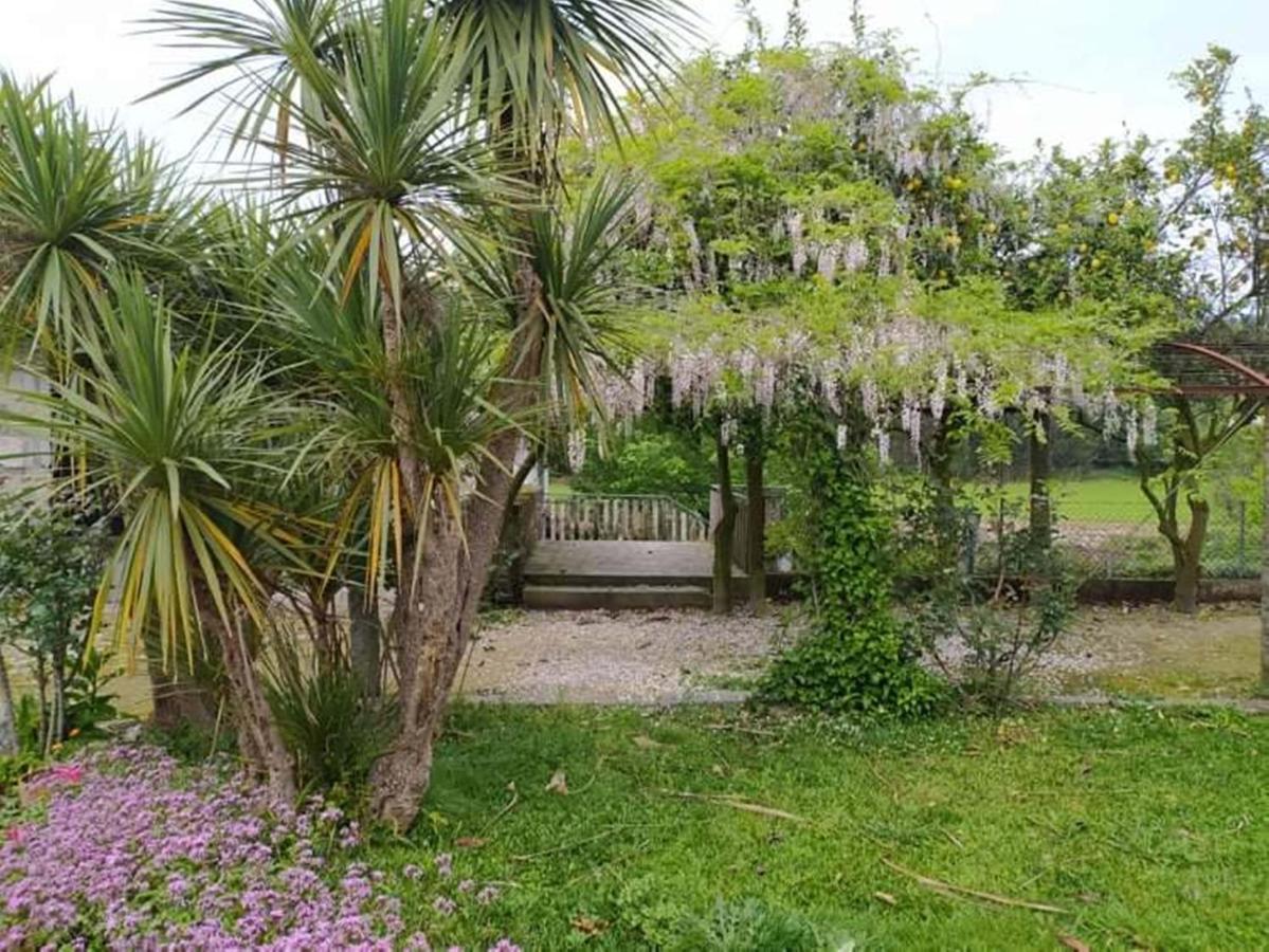Casa De Sta Comba Βίλα Barcelos Εξωτερικό φωτογραφία