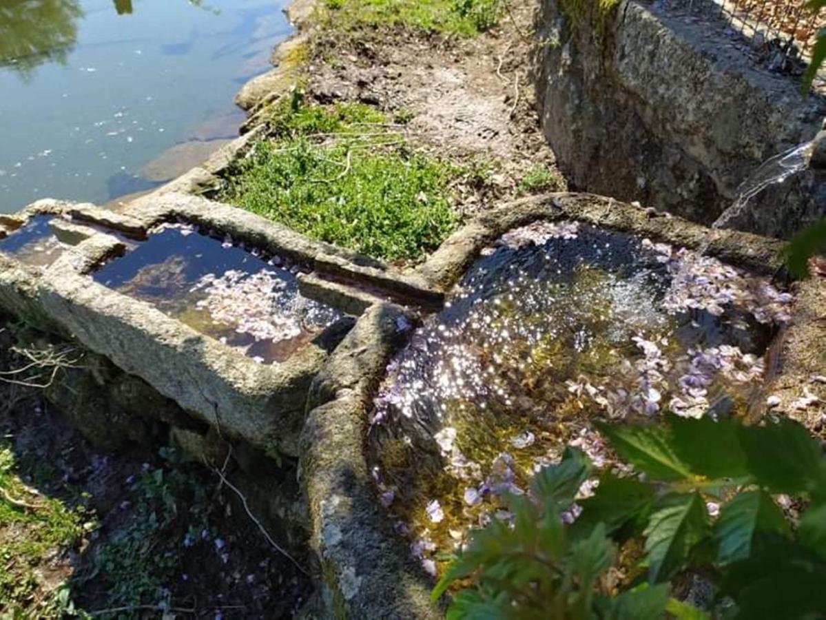 Casa De Sta Comba Βίλα Barcelos Εξωτερικό φωτογραφία